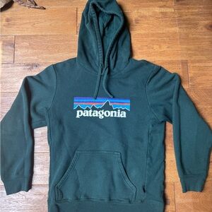Patagonia Green Sweatshirt Classic Logo Light Use